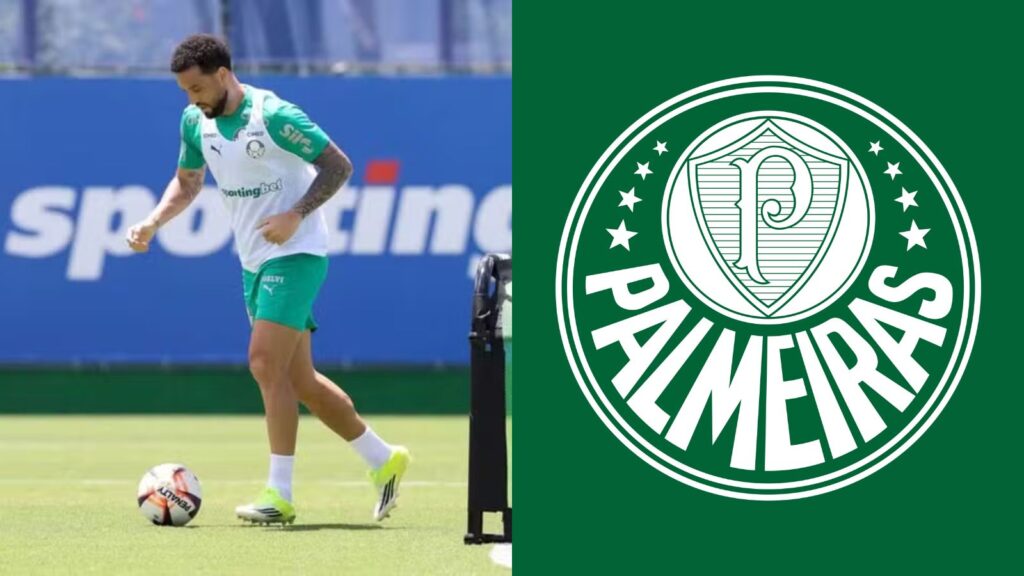 Capas para matérias (61)