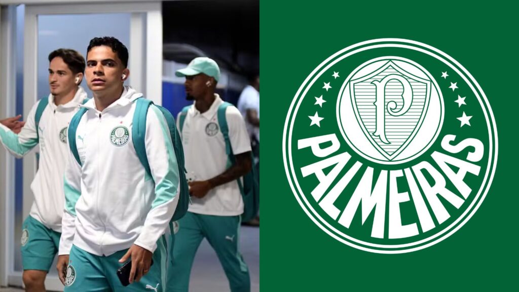 Capas para matérias (81)