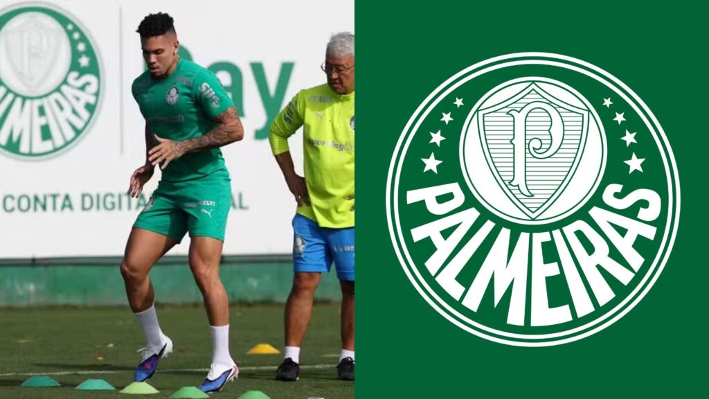 Capas para matérias (88)