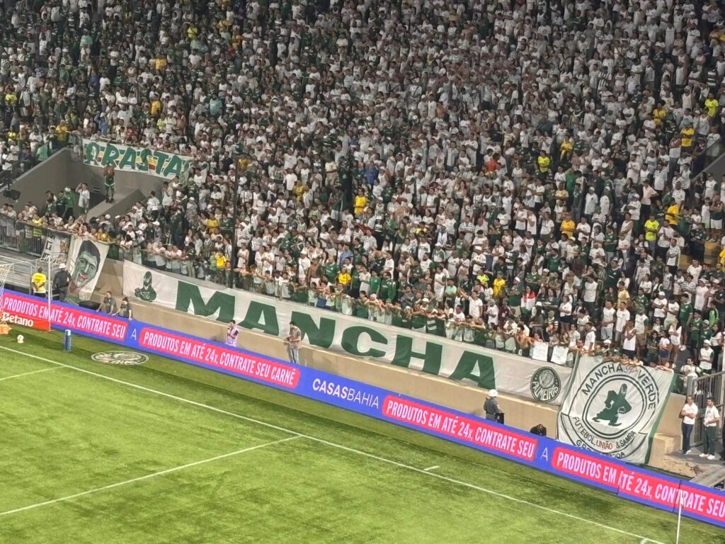 palmeiras