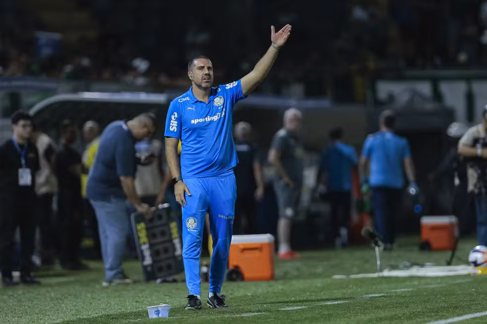 Foto: Marco Miatelo/AGIF palmeiras