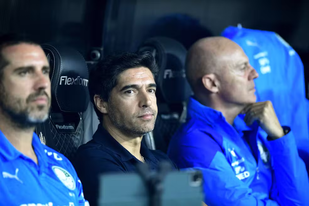 Foto: Marcos Ribolli pálmeiras