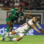 Foto: Cesar Greco/Palmeiras