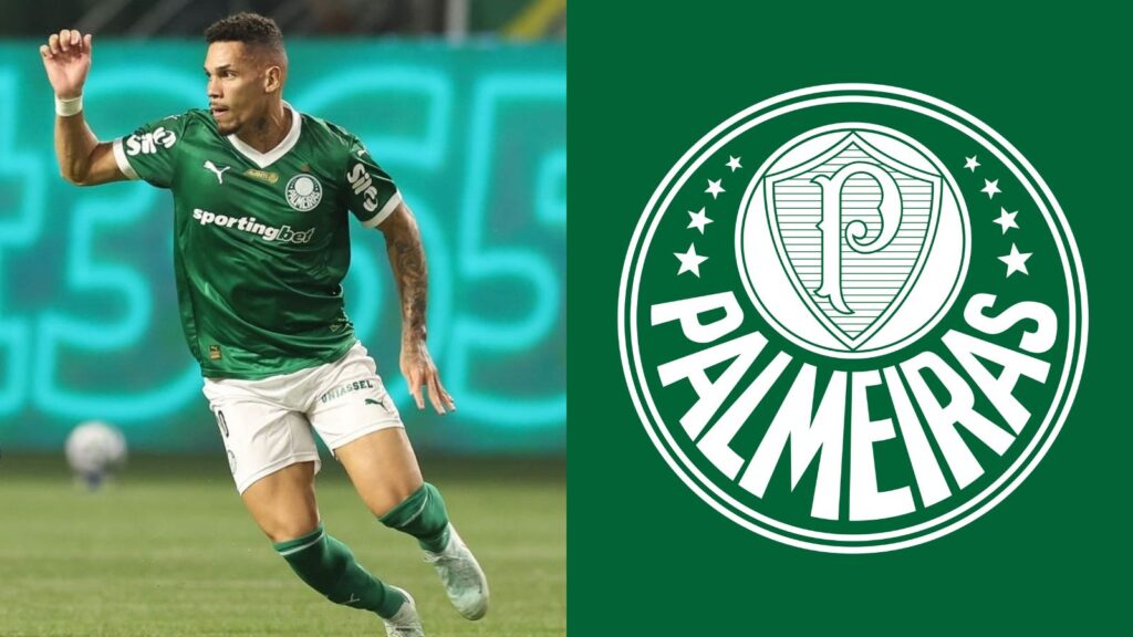 Capas para matérias (12)