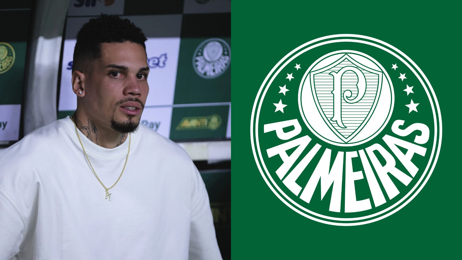 Palmeiras: jornalista 