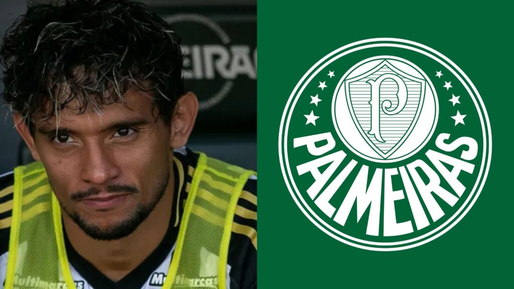 Capas para matérias (50)