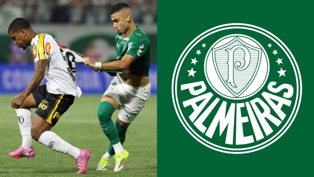 Capas para matérias (59)