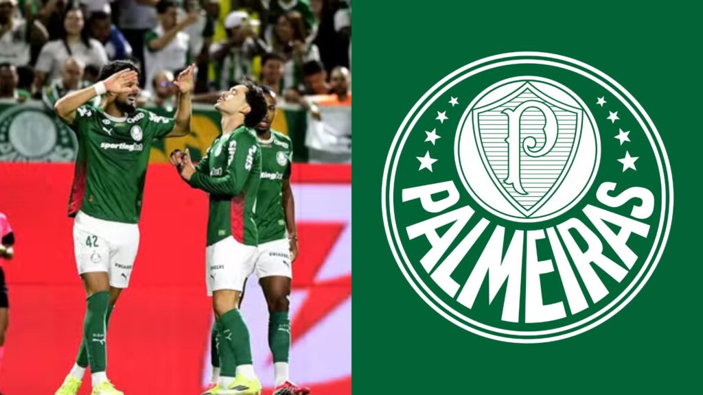 Capas para matérias (62)