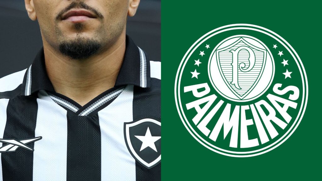 Capas para matérias (65)