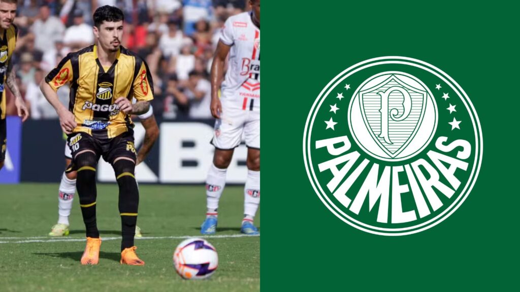 Capas para matérias (69)