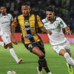 Fabio Menotti/Palmeiras