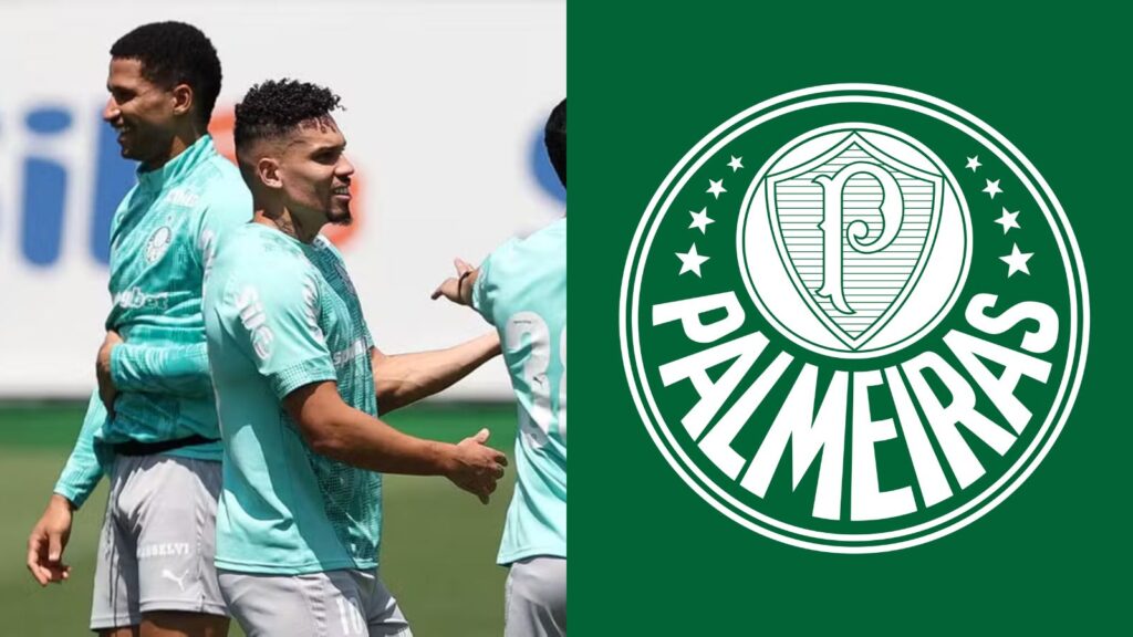 Capas para matérias (75)