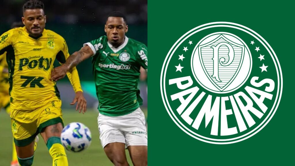 Capas para matérias (77)