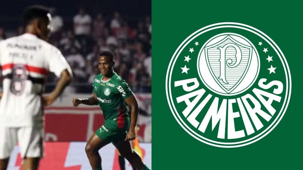 Capas para matérias (87)