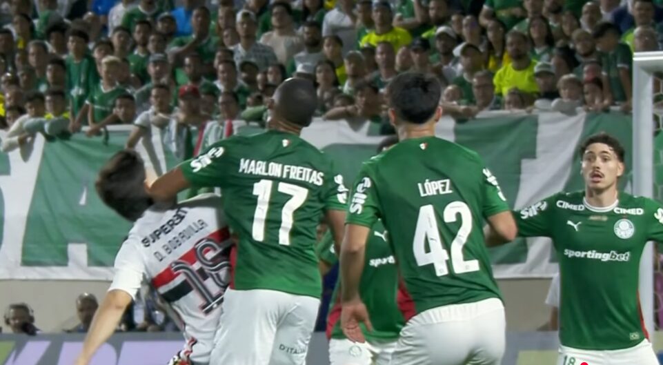 palmeiras