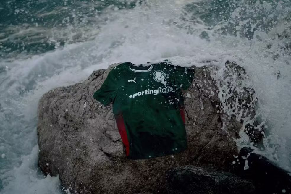 Foto: Reprodução / Palmeiras