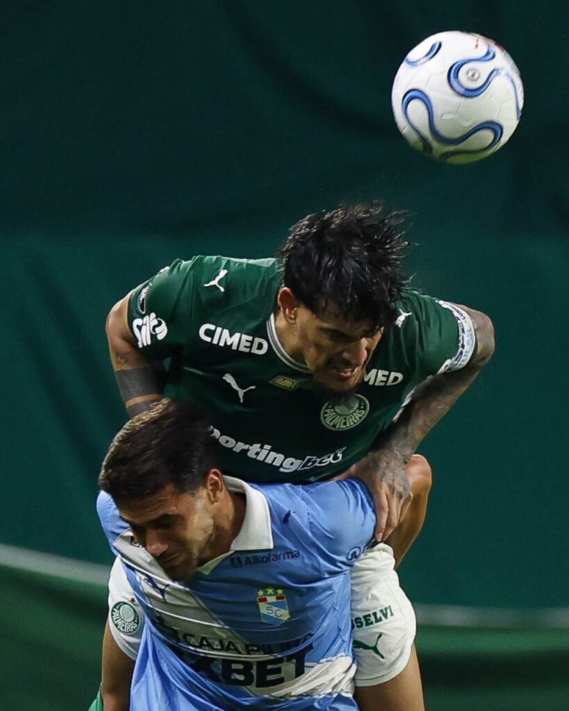 Palmeiras