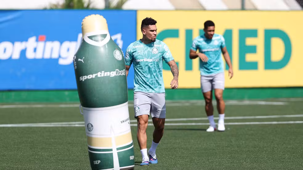 Foto: Cesar Greco / Palmeiras