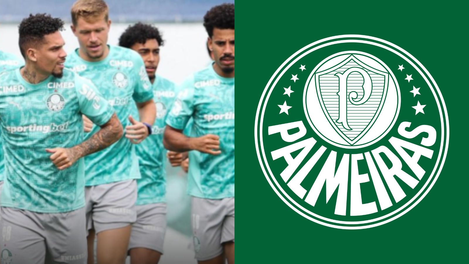 Palmeiras aposta em estratégia para faturar alto; entenda