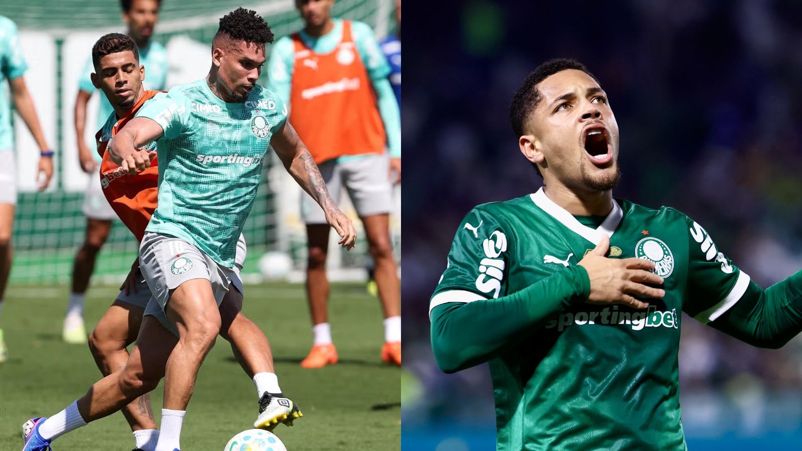 2 nomes chamam atenção em decisão do Palmeiras