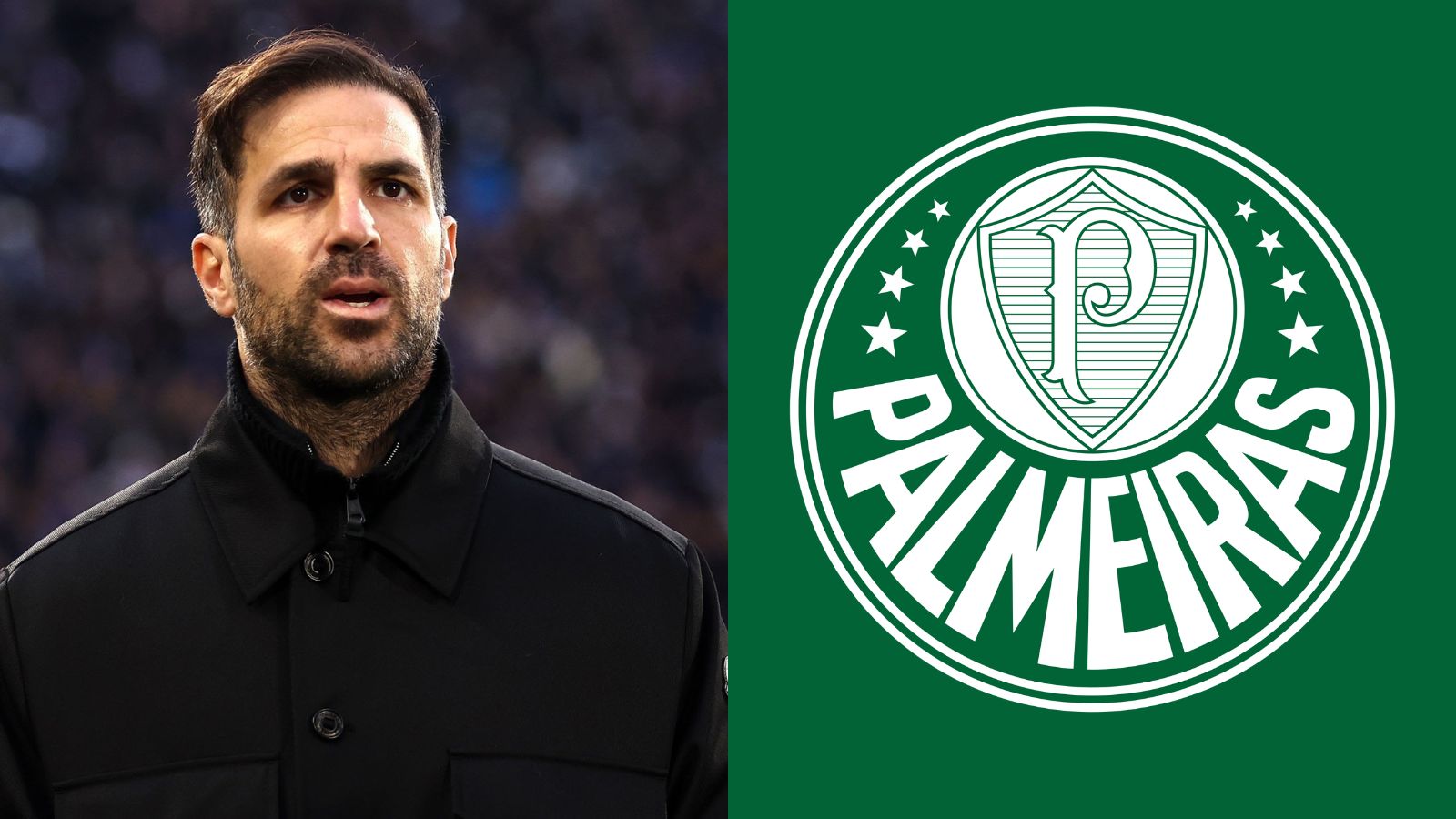 Cesc Fàbregas quer tirar jogador do Palmeiras; entenda