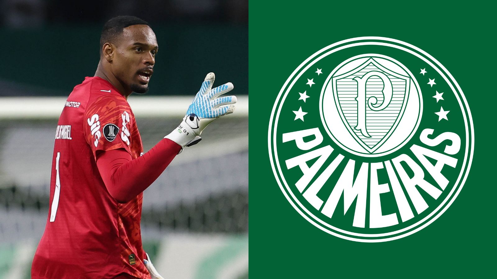 Palmeiras embala e já projeta novo desafio importante; veja o vídeo