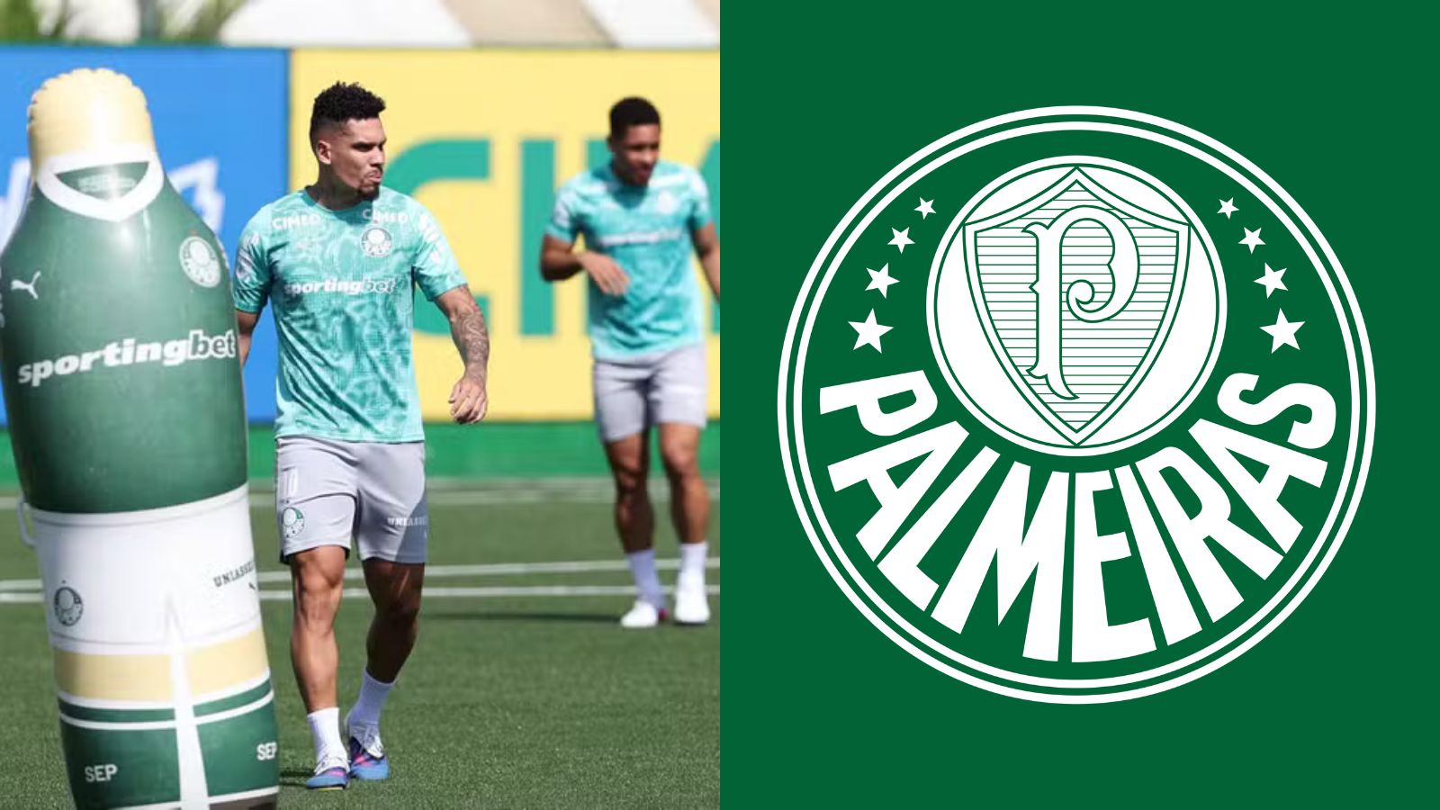 INACREDITÁVEL! Médico do Palmeiras define situação de Paulinho
