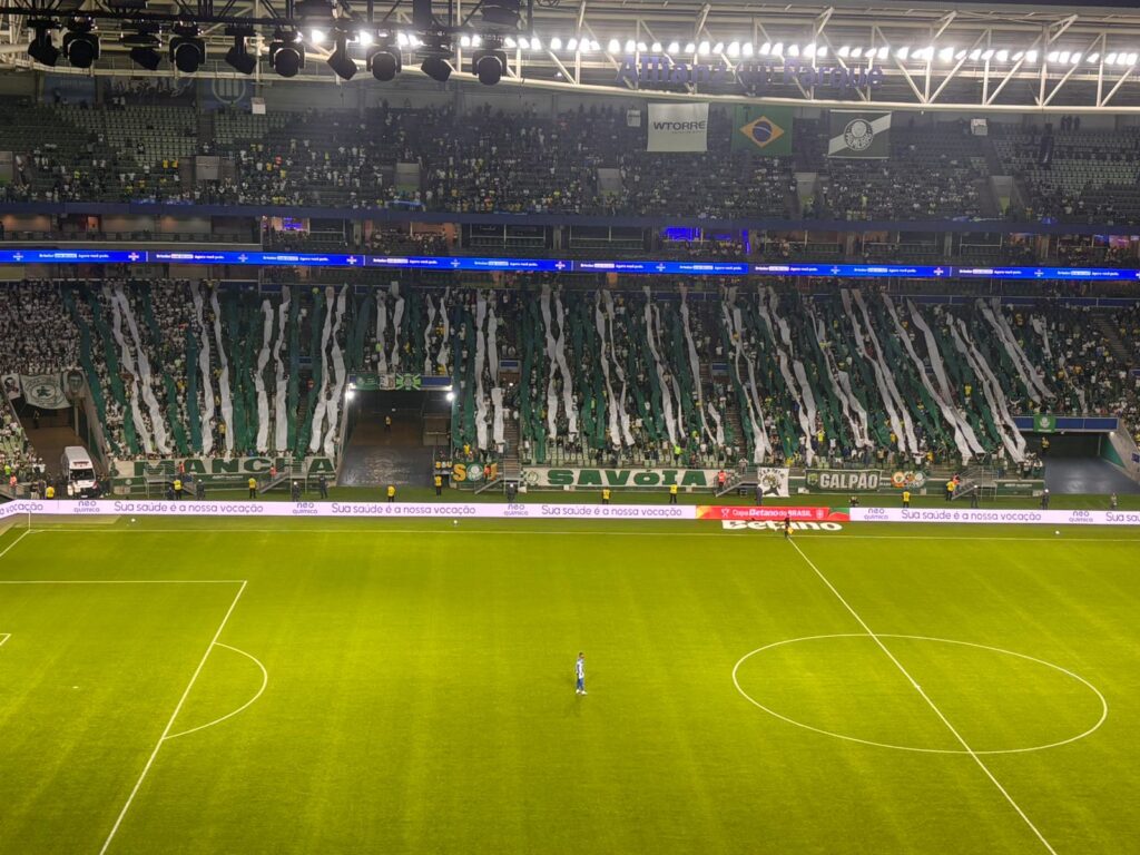 palmeiras