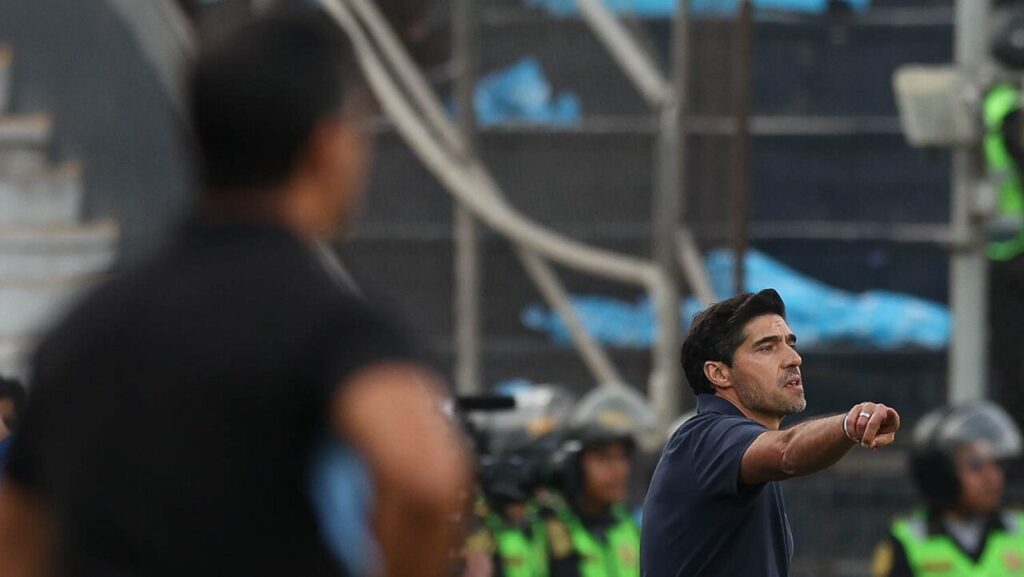 palmeiras