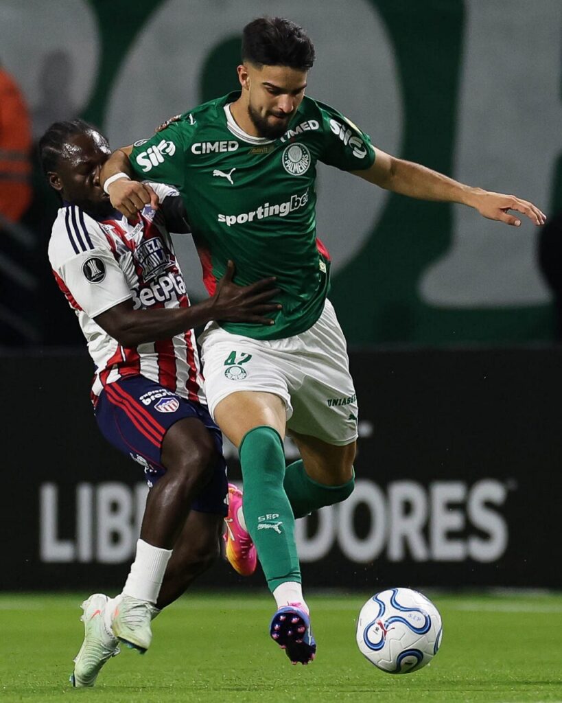 Palmeiras