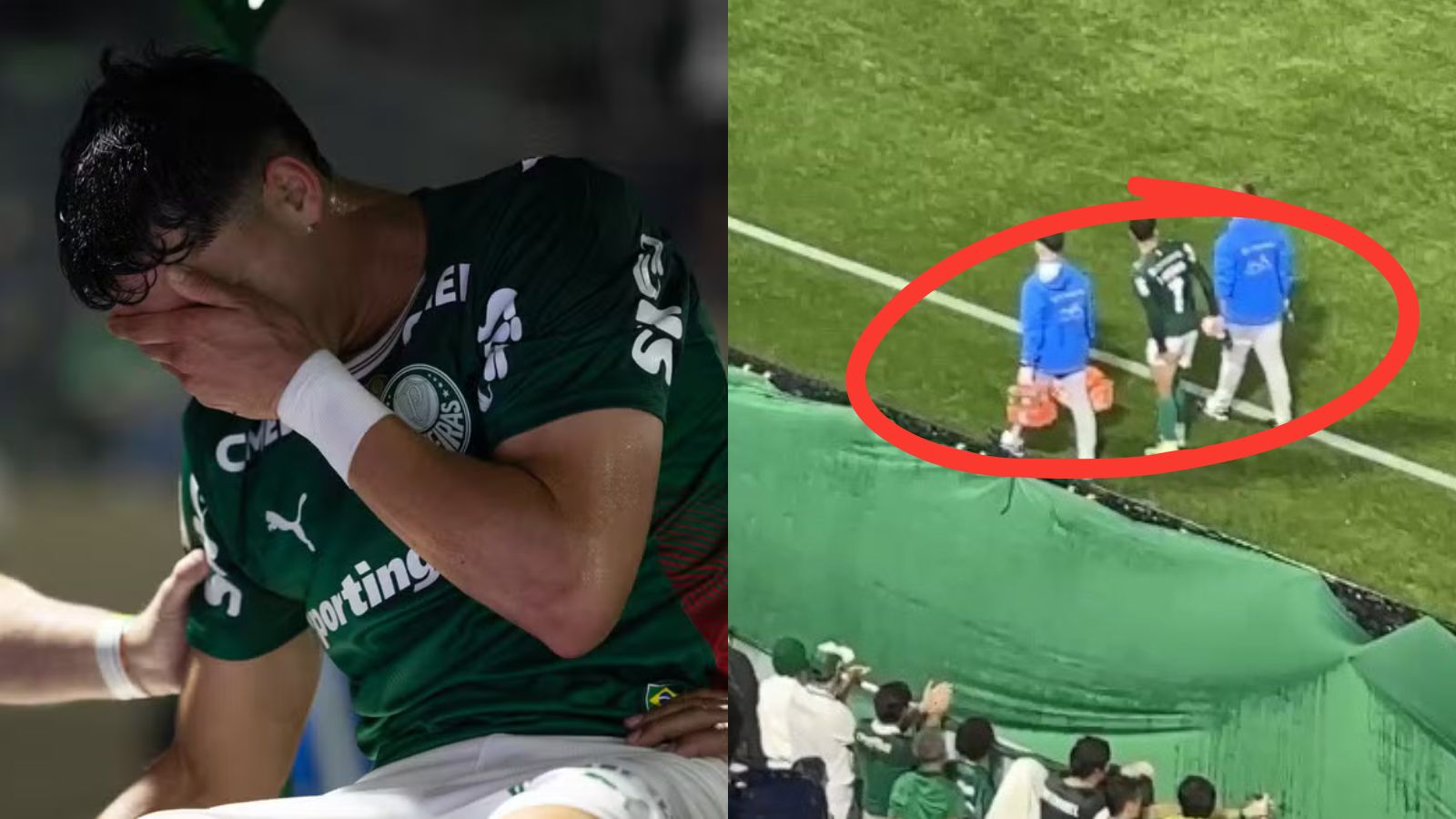 DM do Palmeiras se pronuncia sobre Sosa e Felipe Anderson: 