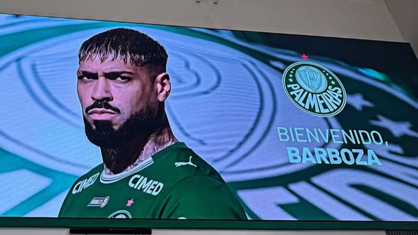 Barboza mal chegou ao Palmeiras e já incendiou a torcida; entenda