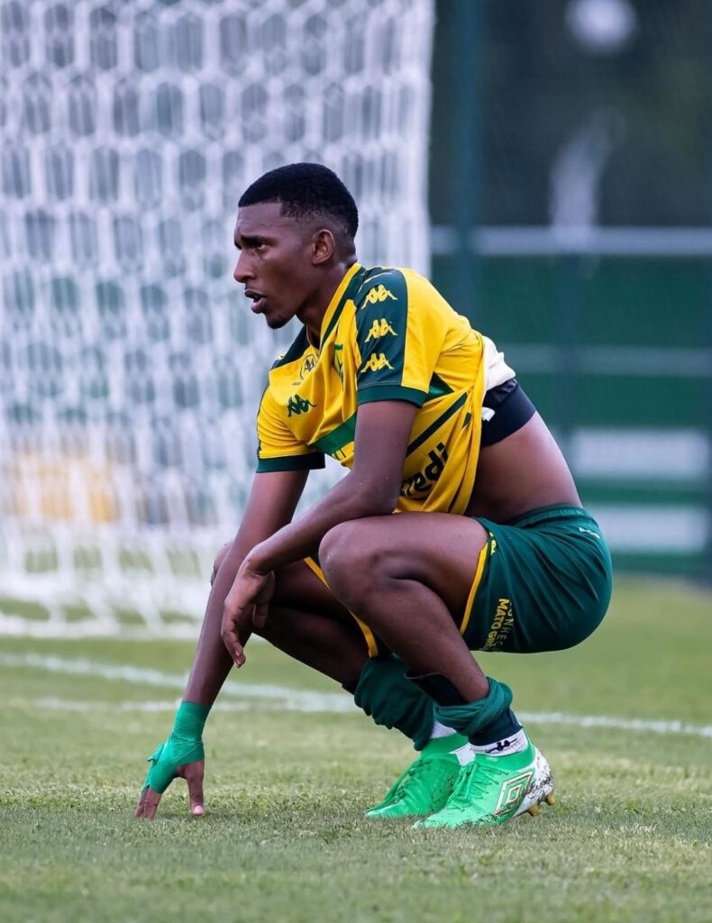 Palmeiras