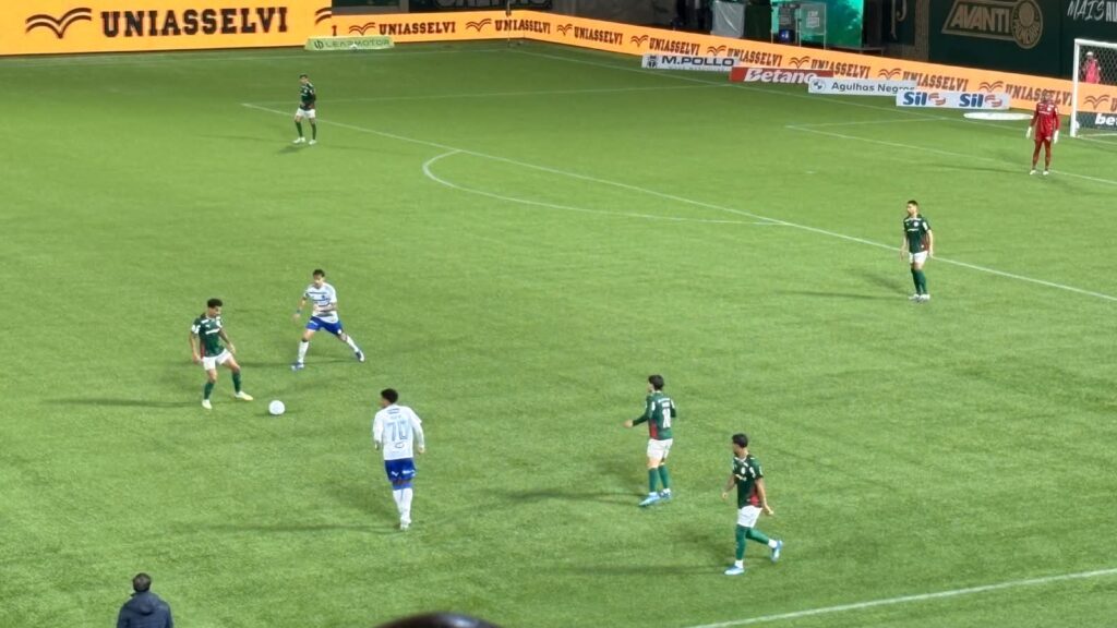 Foto: @brukaaaaa - Palmeiras