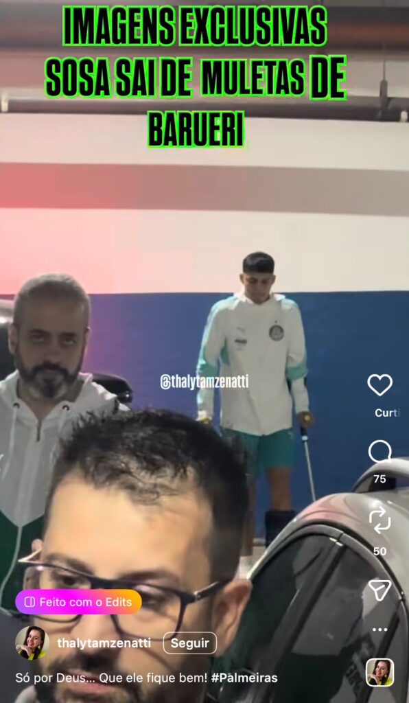 Crédito: Thalyta Marcellino Zenatti - Palmeiras
