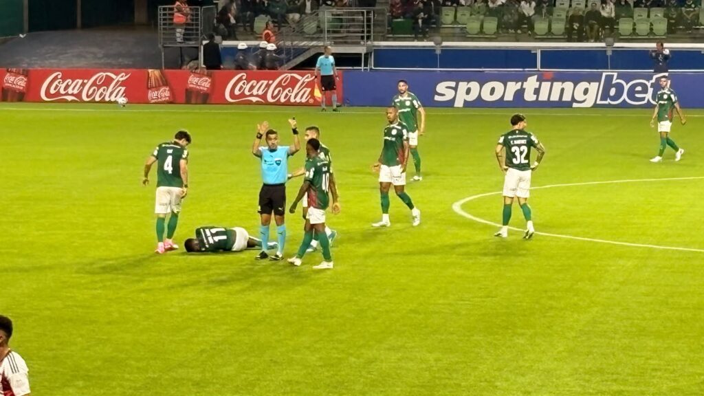 Foto: @brukaaaaa - Palmeiras