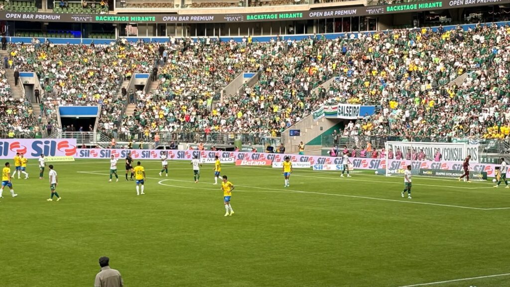 Foto: @brukaaaaa - Palmeiras