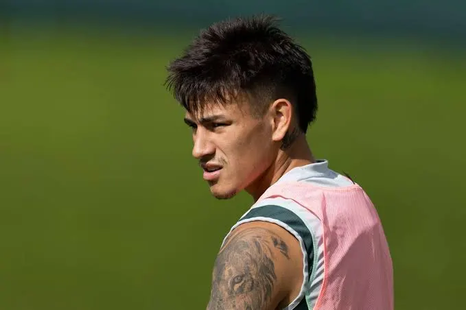 Palmeiras