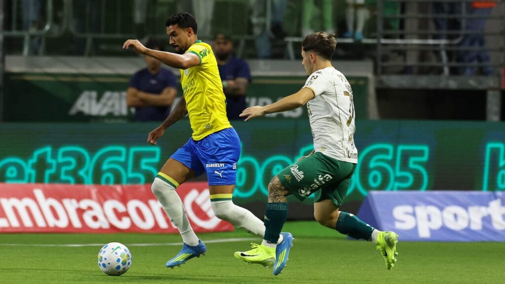 Palmeiras